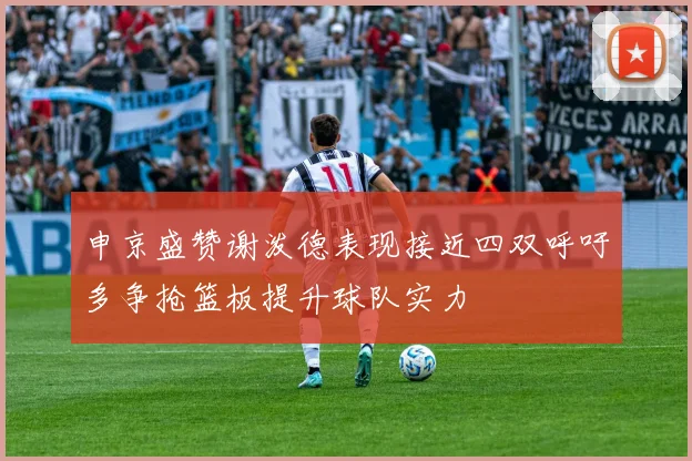 申京盛赞谢泼德表现接近四双呼吁多争抢篮板提升球队实力